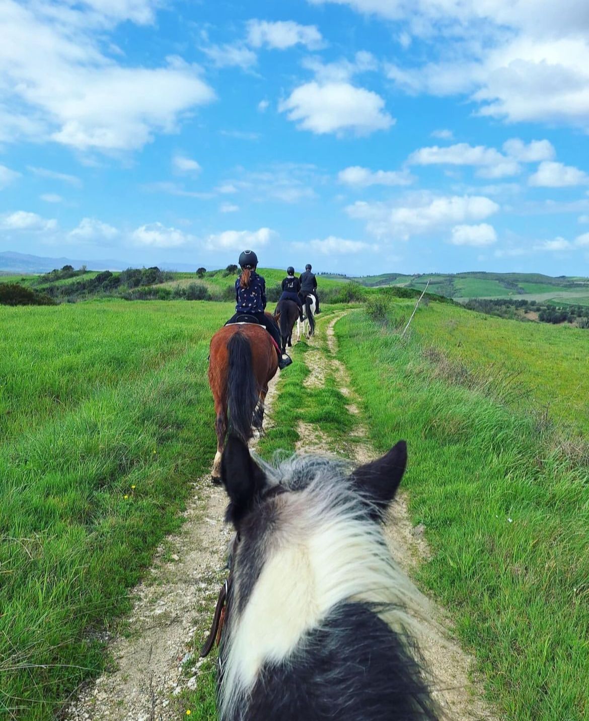 Horse riding