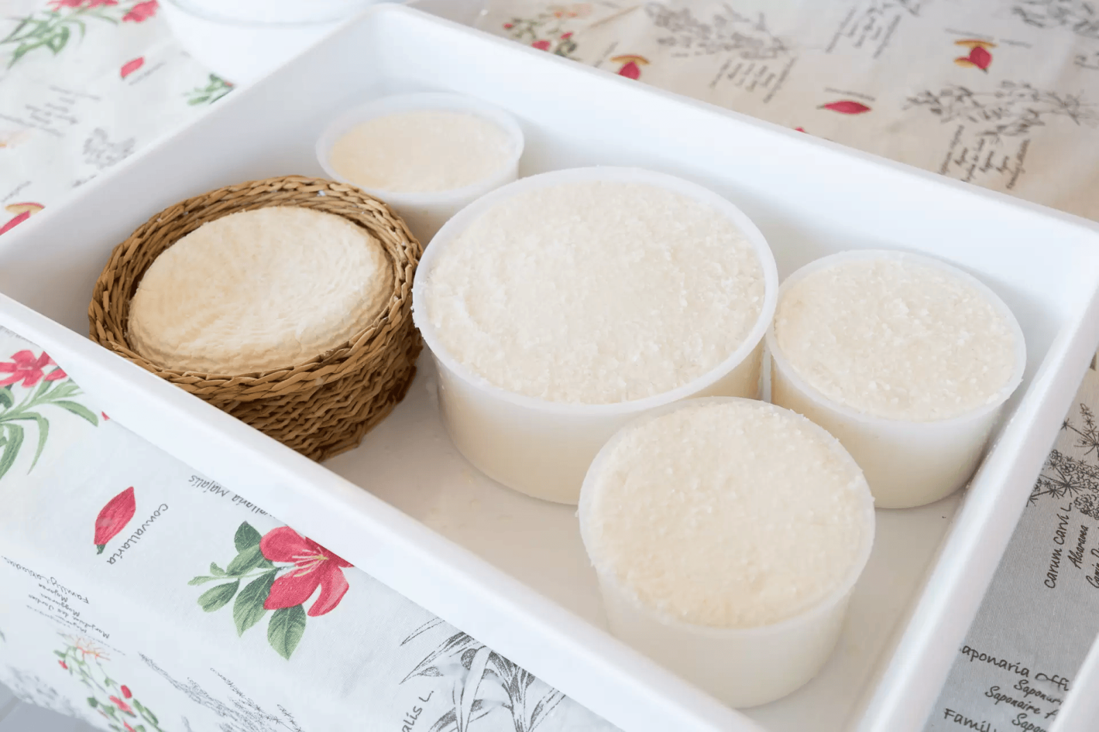 Cheese Making Class