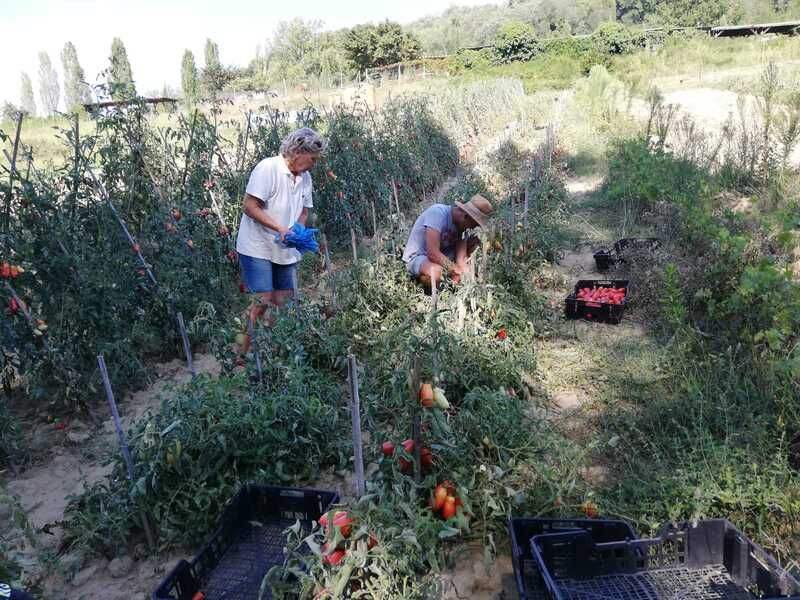 A Day as a Farmer
