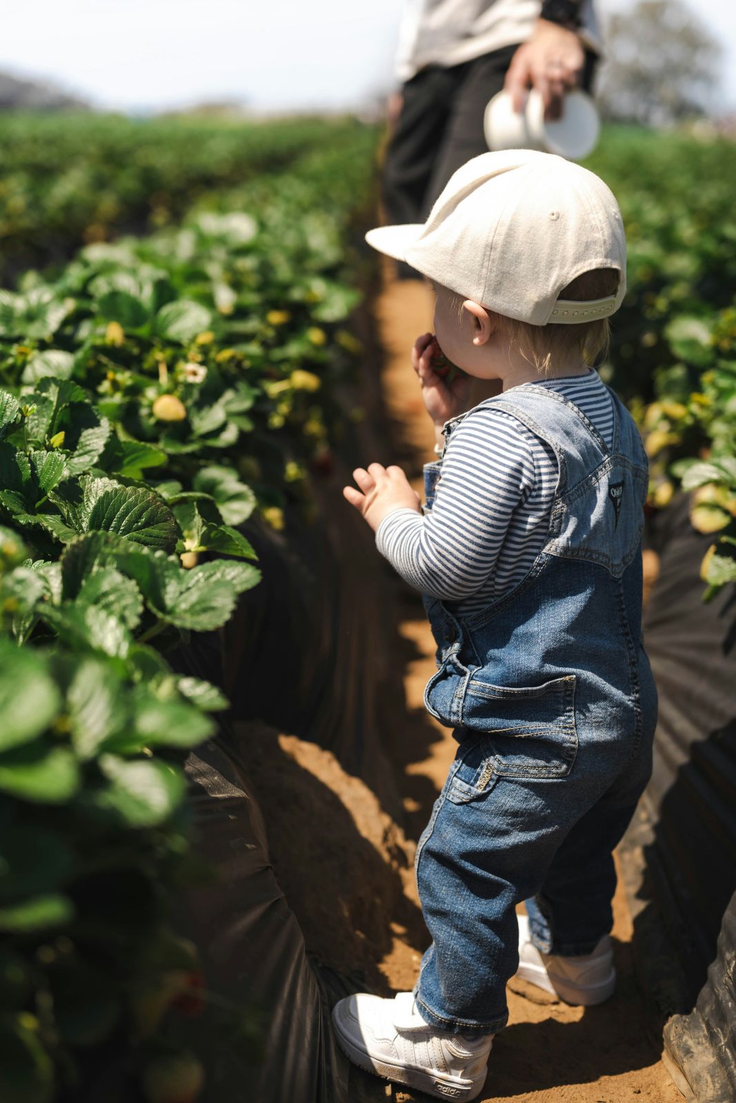 Educational farm tour
