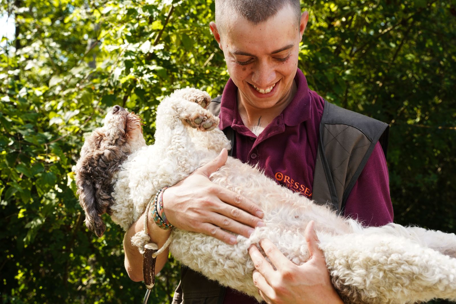 You are not searching for a vacation