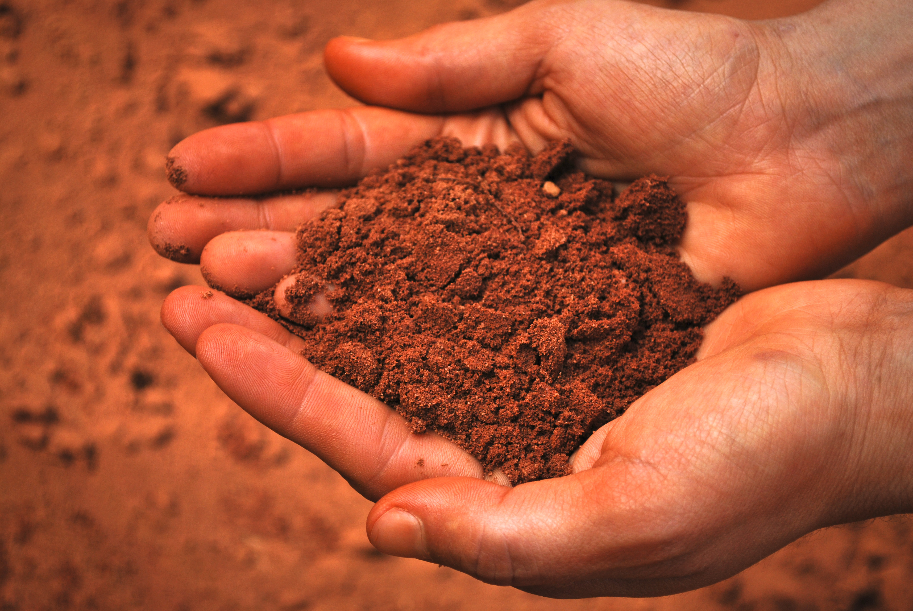 Creativity Retreat - The colours of Nature